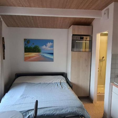 Rue Du Vieux Chateau - Beau F2 Menton Eksteriør bilde